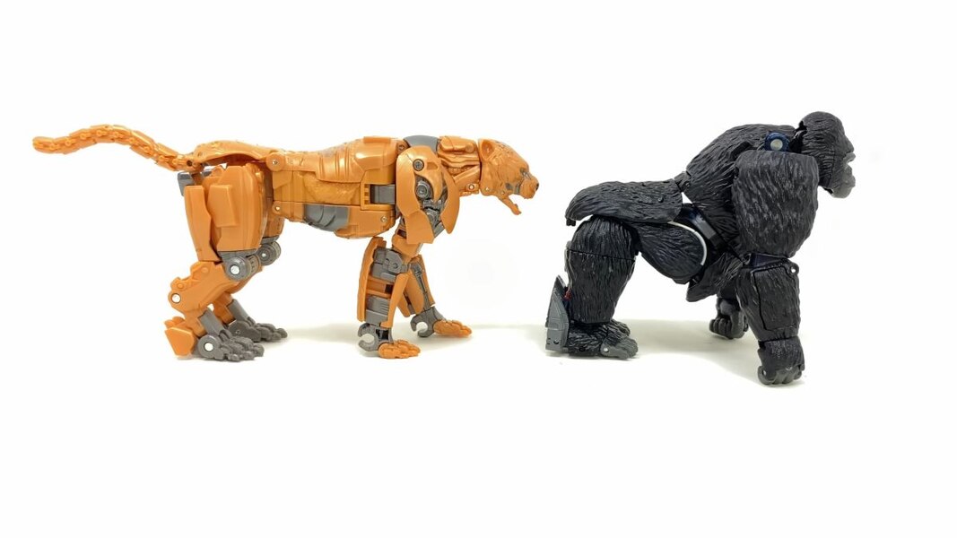 In Hand Image Of Studio Series Rise Of The Beasts 98 Cheetor  (41 of 51)